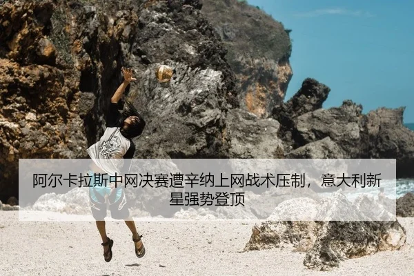 a-er-ka-la-si-zhong-wang-jue-sai-zao-xin-na-shang-wang-zhan-shu-ya-zhi-yi-da-li-xin-xing-qiang-shi-deng-ding-2-739.jpg